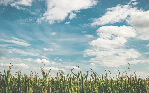 Elemental Meditation: Air 