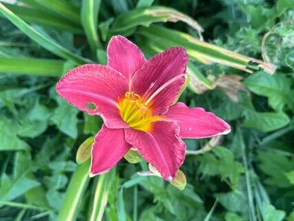 Elemental Meditation