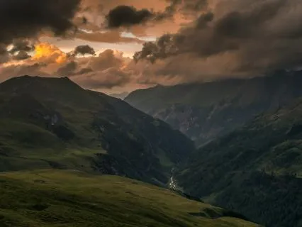 Elephants | Educational Sleep Podcast