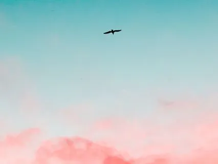 Elevate & Expand: 55 Hz Gamma Waves For Peak Cognition