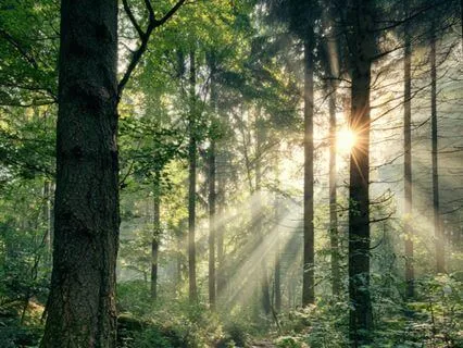 Elevate Your Body And Mind