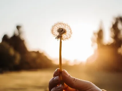 Elevate Your Emotional Bank Account