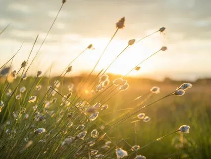 Elevate Your Energy: Magic Windchimes For Energy Work