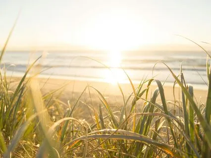 Uplifting Piano & Ambience For Relaxation