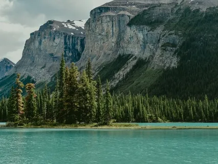 Elevate Your Vibe Affirmations 