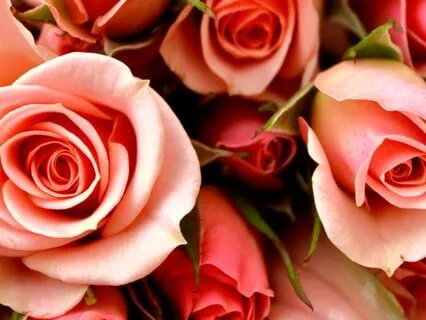 Elevated Awareness: Gamma Waves For Peak Cognition