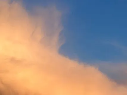 Elevating Affirmations Series: Family