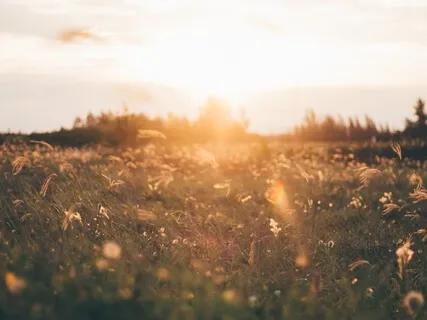 Elevating Piano Meditation