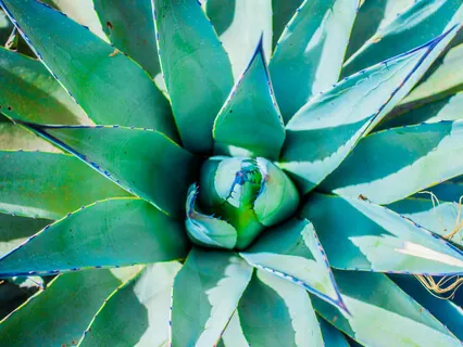 Elevating To Your Purpose