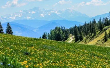 Elevating Your Life - Interview With Paula Vail