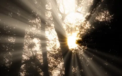 Eliminate Worry And Increase Happiness 