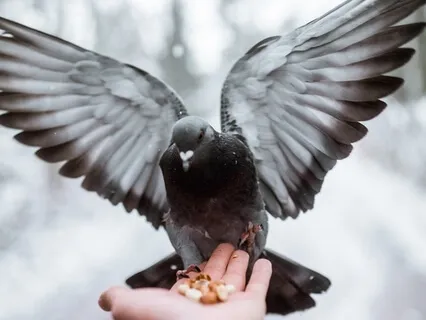 Eliminate Your Worries, Self Doubt And Stress: Angel Healing