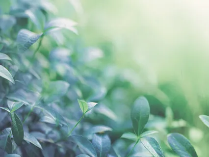 Elixir - Healing Piano 528Hz