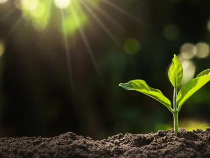 Elohim / Solar Archangels Light Portal Transmission: Opening The Solar Plexus And Third Eye