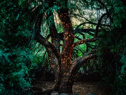 Elvensong - For Relaxing Your Mind & Gaining Inner Wisdom