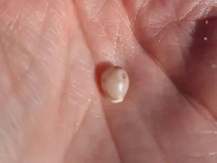 Em Contacto com a Respiração