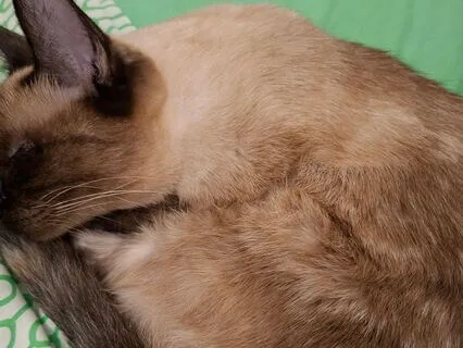 Em contacto com o corpo