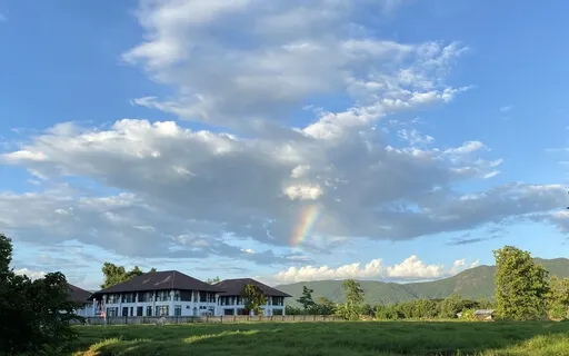 Em Heal Ex Mod 2 Cl 5: Top Dog & Under Dog: Judge And Victim