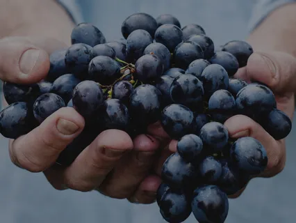 Embodied Abundance Meditation