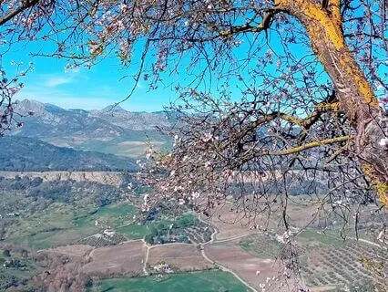 Activating Your Body's Wisdom + Reiki Healing Energy