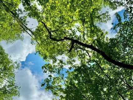 Embodied Breathing For Stress & Anxiety Relief