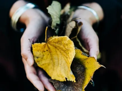 Embodied Forgiveness