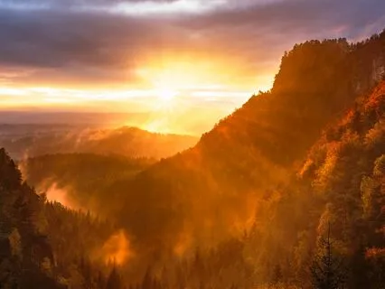 Embodied Knowing: Awaken & Strengthen Your Highest Intuition