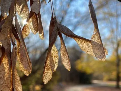 Embodied Mindfulness: Christian Meditation Psalm 139