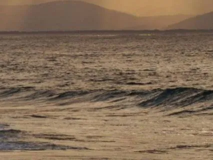 Embodied Mindfulness: Feel Your Emotions Without Fixing