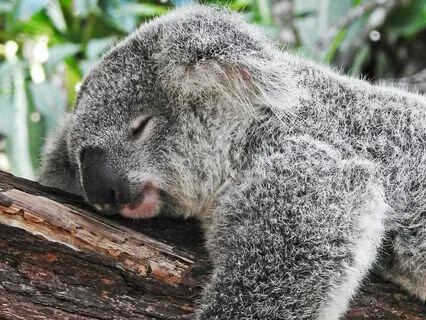 Embodied Mindfulness For Going To Sleep