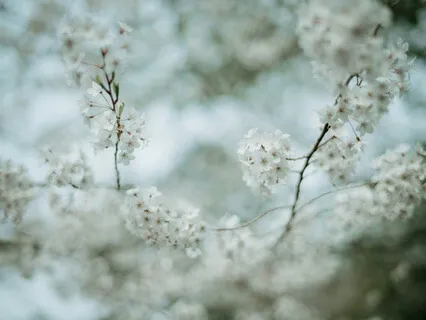 Embodied Mountain Visualization Meditation