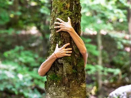 Embodied Nervous System Reset