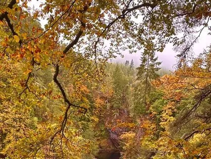 Embodied Presence - I Am Here