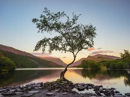 Embodiment & Healing In Presence