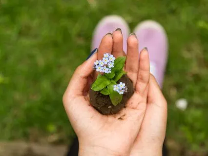 Embodiment, And The World.