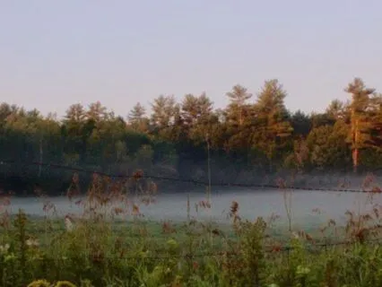 Embodiment For Healing The Fear Of Being Seen