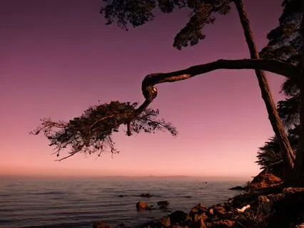 Embodiment & Mindfulness Of Breath