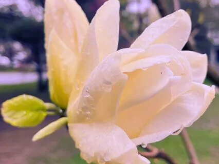 Embodiment Practice For Finding Peace Within Transformation