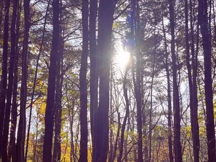 Embodiment Practice For Releasing Perfectionism