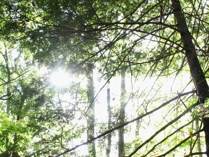 Embodiment Practice For Self-Love And Setting Boundaries