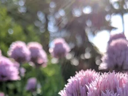 Embodiment To Empowerment- Practice Session-Childhood Trauma