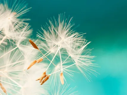 Embody Freedom & Flexibility (Music Only)