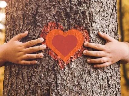 Embody Love, Safety, & Belonging