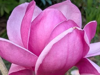 Embody | Mindful Motivation