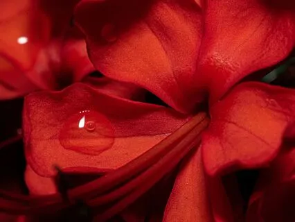 Embody The Creative Power Of Your Root Chakra