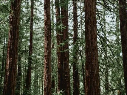 Embody The Energy Of A Wealthy Person