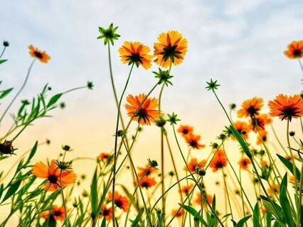 Free To Be Me: A Meditation For Embracing Your True Self