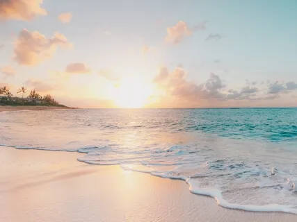 Embody Your Aloha Spirit