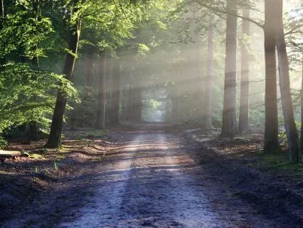 Embody Your Future Self: Awaken Your True Identity