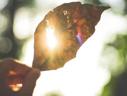 Embody Your Inner Light Meditation